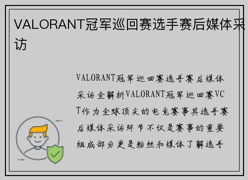 VALORANT冠军巡回赛选手赛后媒体采访